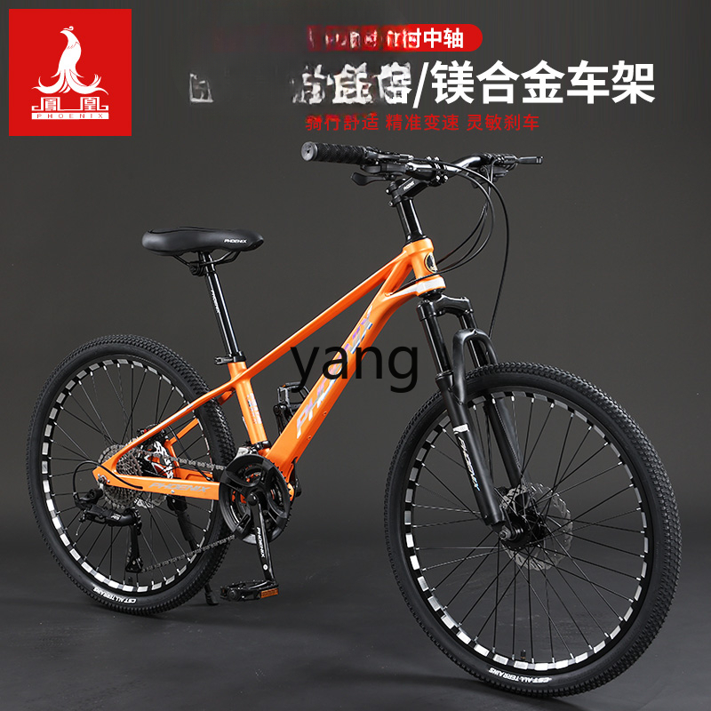 Bicicleta de montaña para adul - Mountain Biking Youth reseña y precio