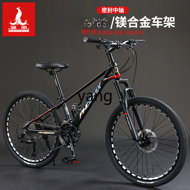 Bicicleta de montaña para adul - Mountain Biking Youth reseña y precio