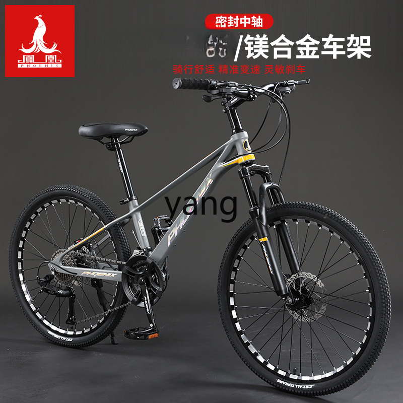 Bicicleta de montaña para adul - Mountain Biking Youth reseña y precio